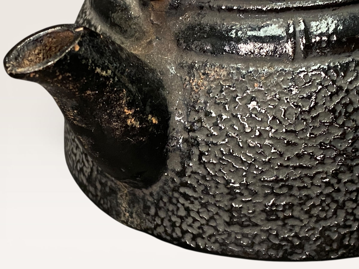 Vintage Nanbu Tekki Leaf Pattern Cast Iron Teapot