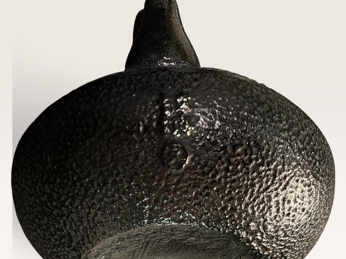 Vintage Nanbu Tekki Tetsubin Teapot Spotted