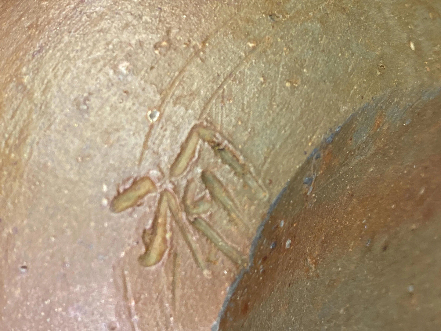 Hatsu Kintsugi Bizen Ware Tokkuri Signed