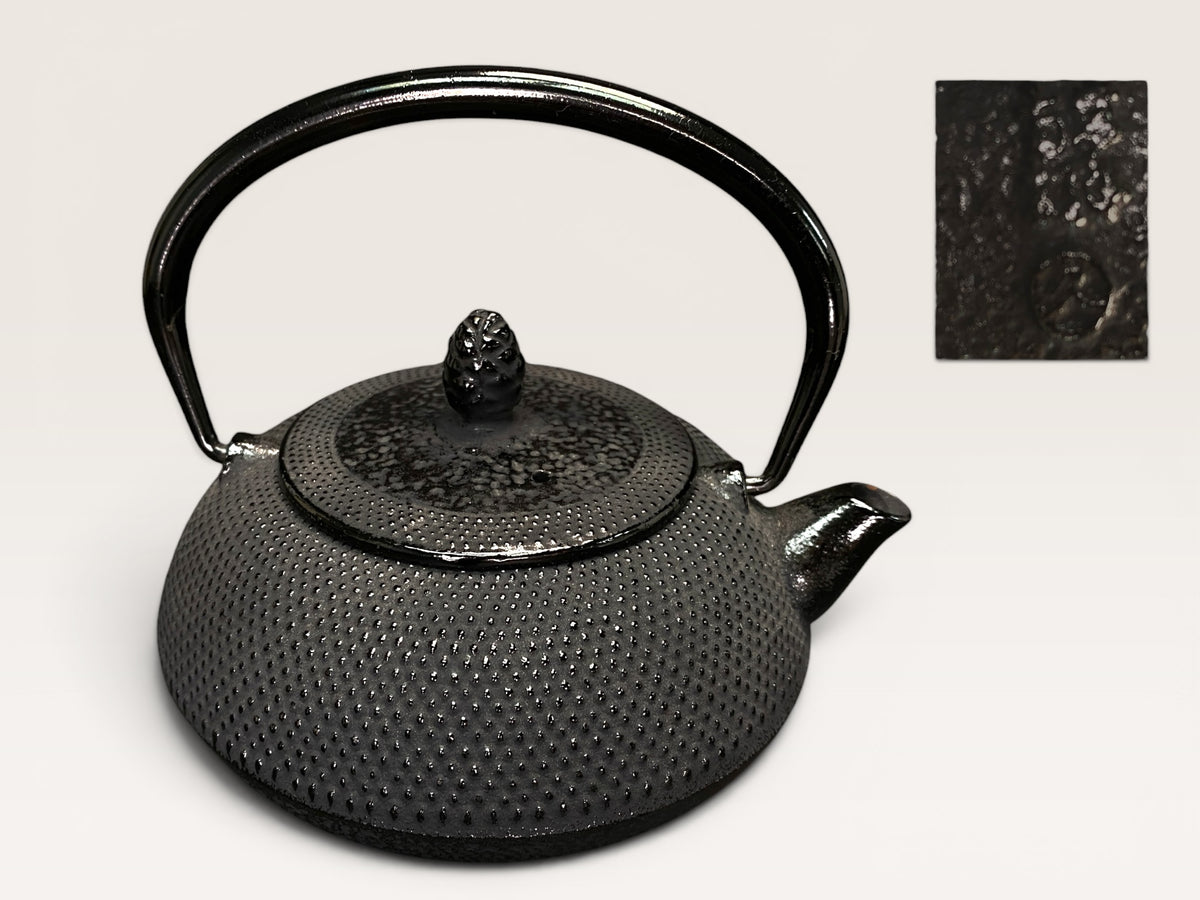 Vintage Nanbu Tekki Tetsubin Teapot Spotted