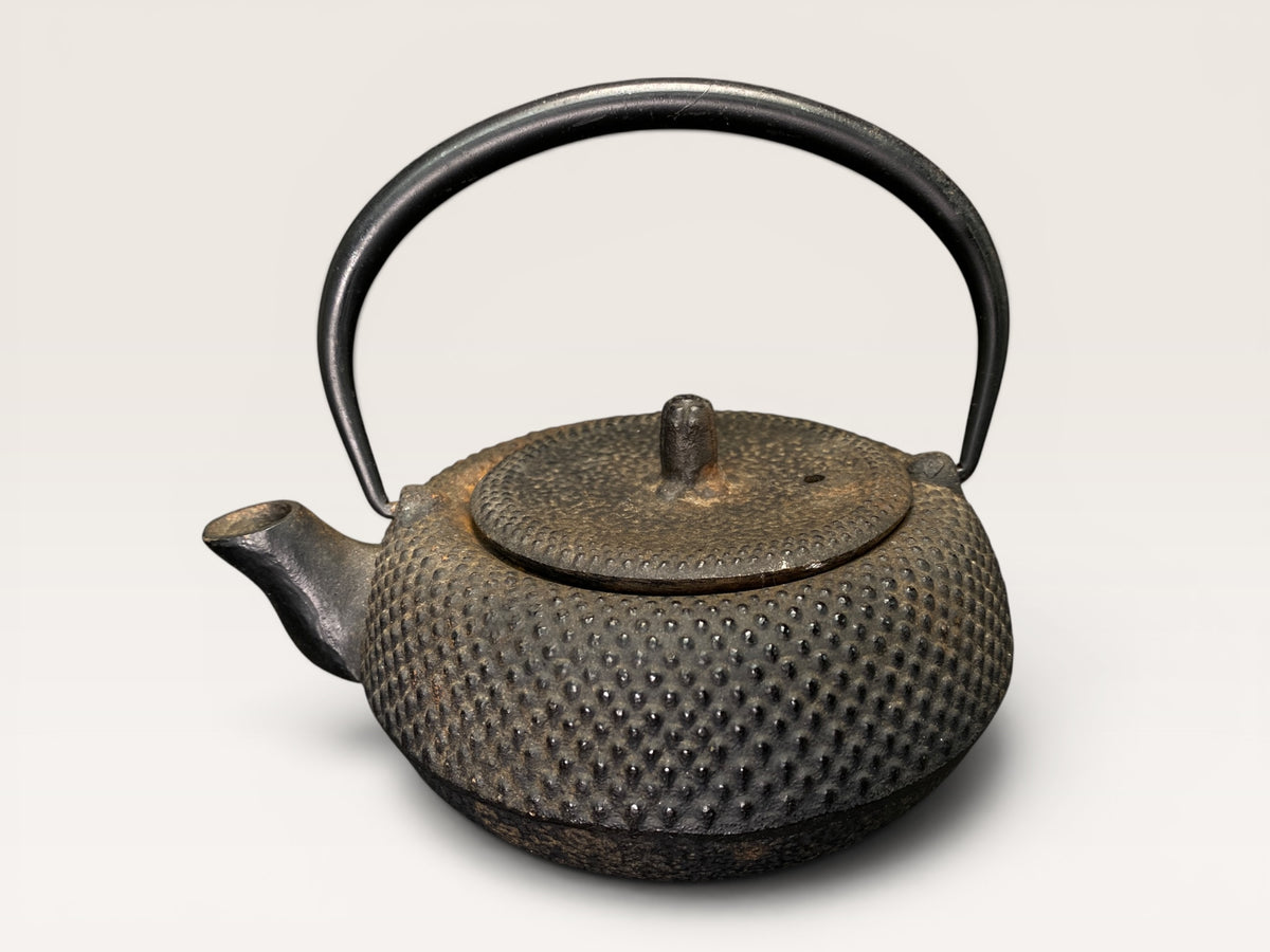Vintage Nanbu Tekki Cast Iron Teapot Japan