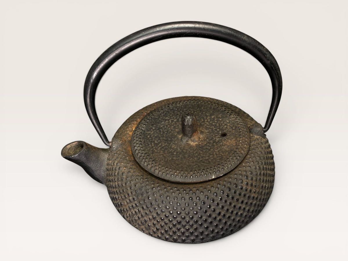 Vintage Nanbu Tekki Cast Iron Teapot Japan