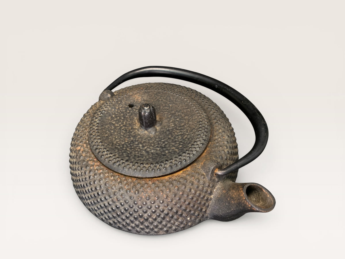Vintage Nanbu Tekki Cast Iron Teapot Japan