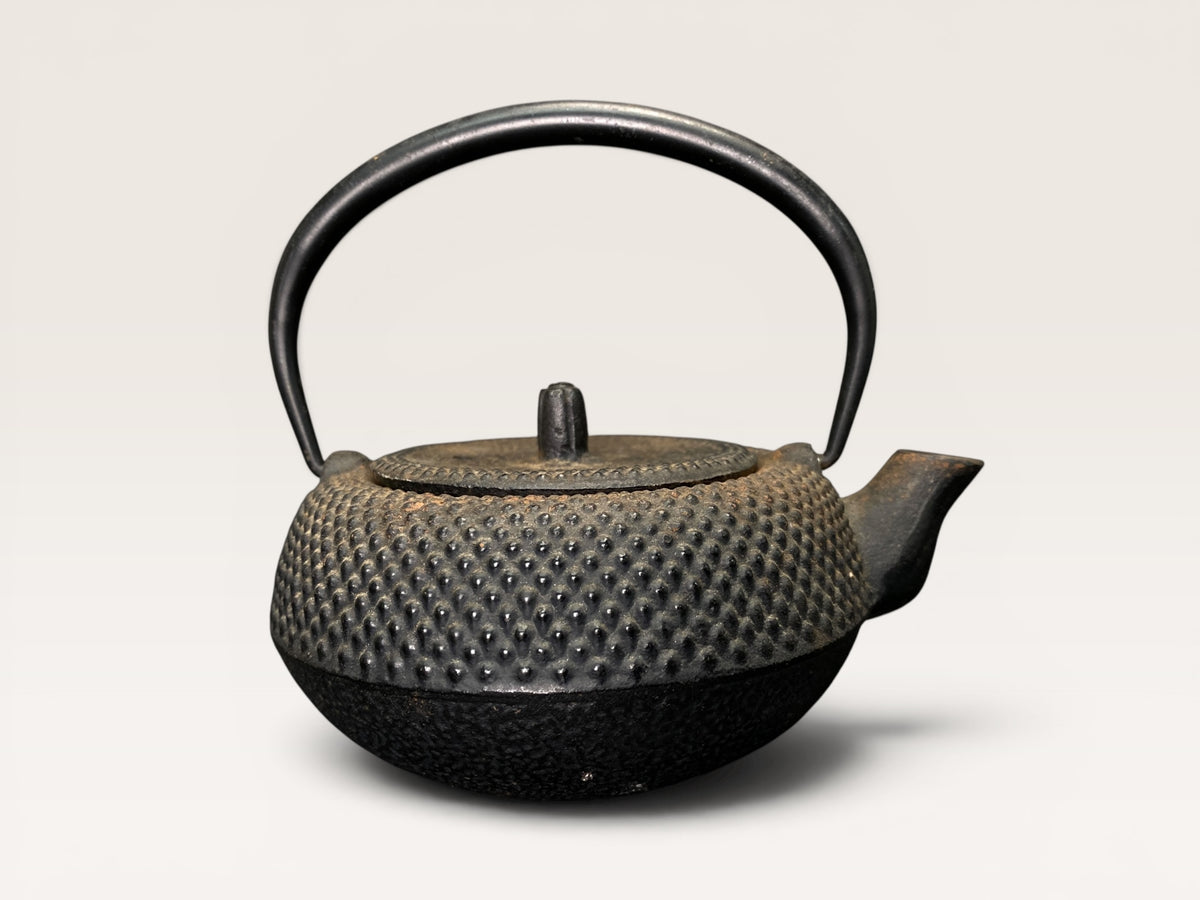 Vintage Nanbu Tekki Cast Iron Teapot Japan