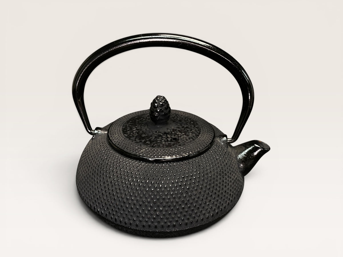 Vintage Nanbu Tekki Tetsubin Teapot Spotted