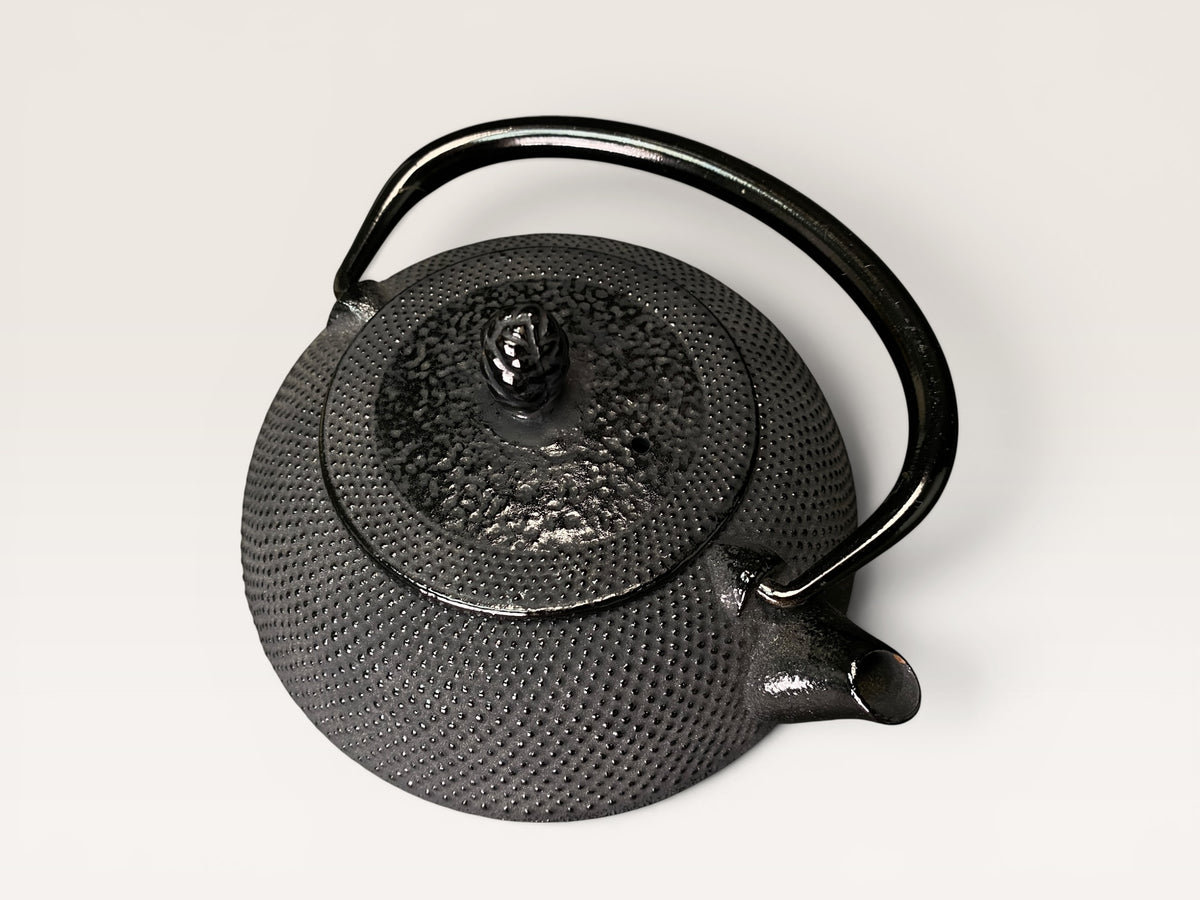 Vintage Nanbu Tekki Tetsubin Teapot Spotted