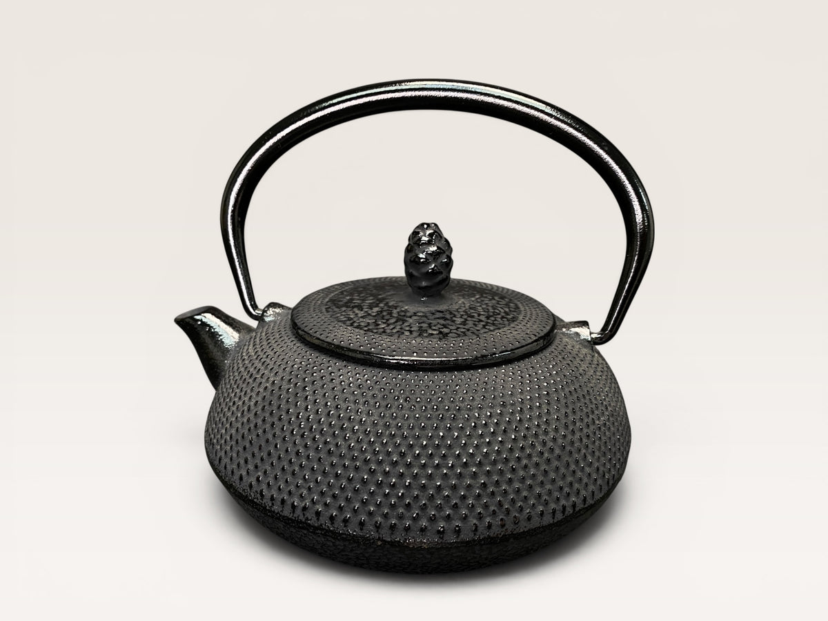 Vintage Nanbu Tekki Tetsubin Teapot Spotted