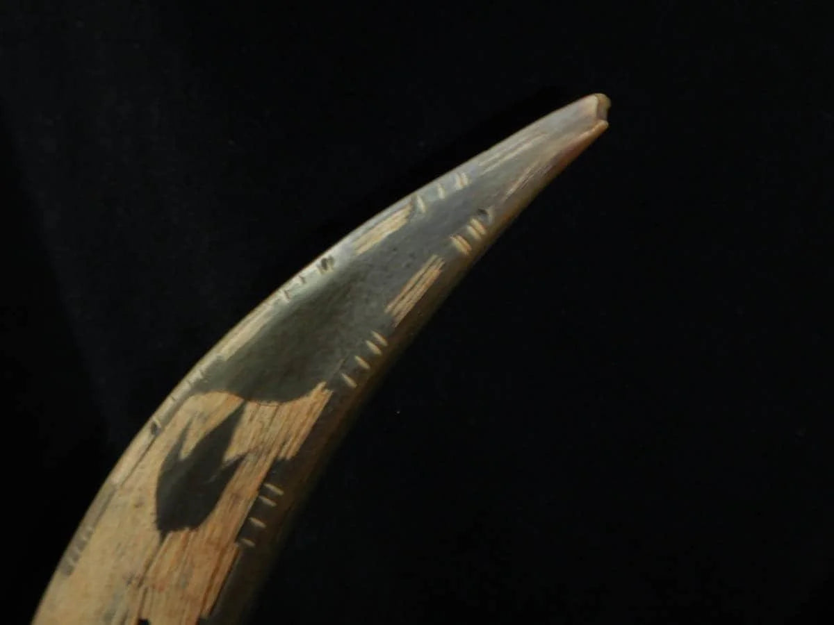 Japanese Water Buffalo Horn Fugurine: H23” Animal Horn art Hawk Eagle table decor,