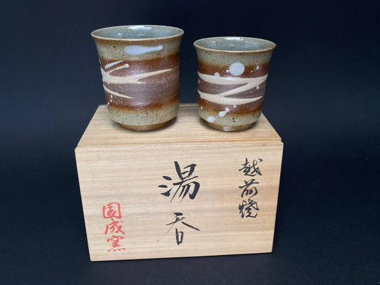 Japanese PAIRE Echizen Ware Yunomi Tea Cup Set, Kuninarigama Japanese Pottery, Signed Tomobako, Wabi Sabi Ceramic Teacups