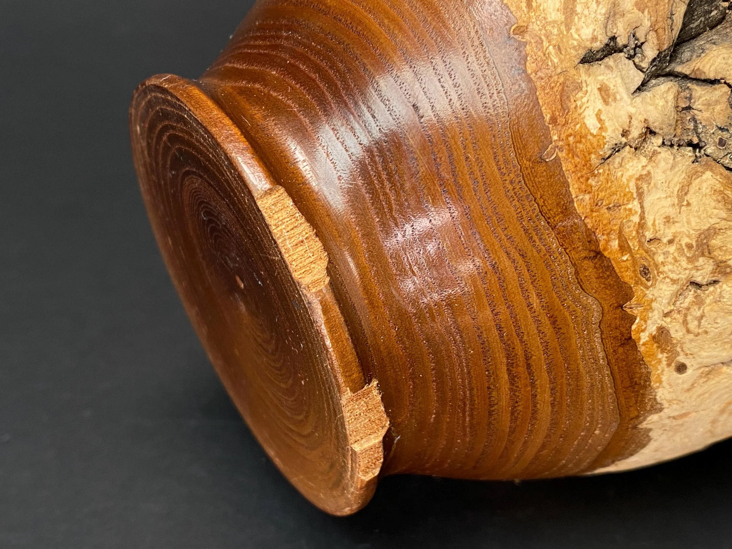 Japanese Wood Chazutsu Live Edge Bark Tea Caddy: Rustic Mingei Folk Art Jar Wabi Sabi Matcha Container