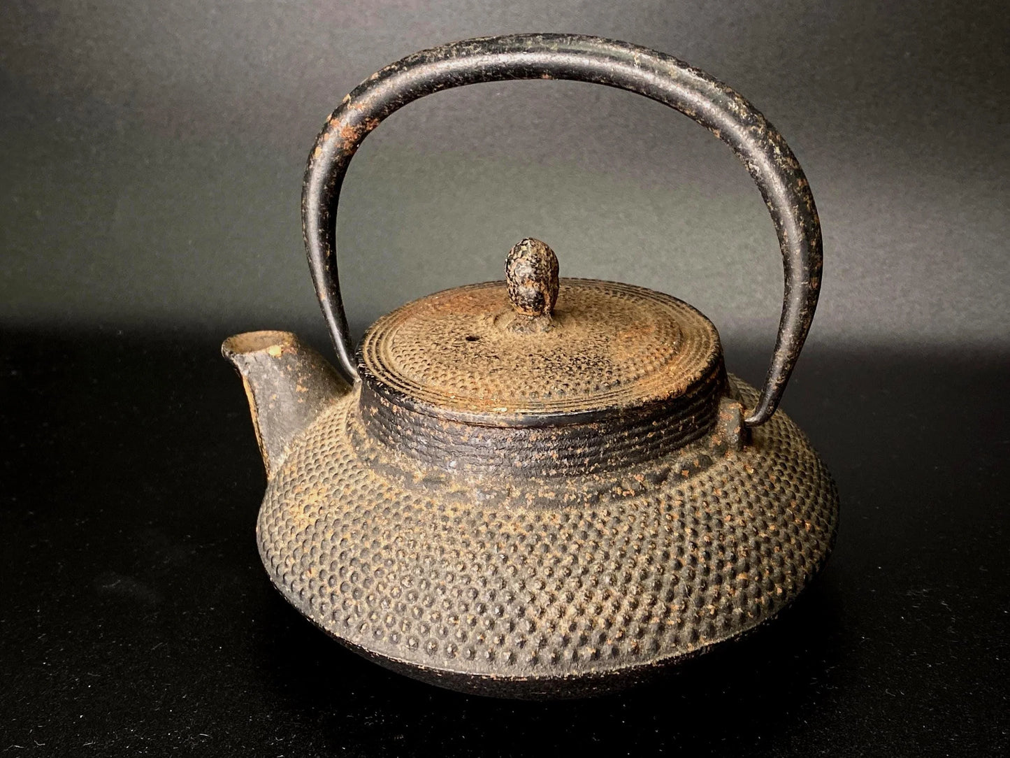 Nanbu Tekki Cast Iron Tetsubin Kettle