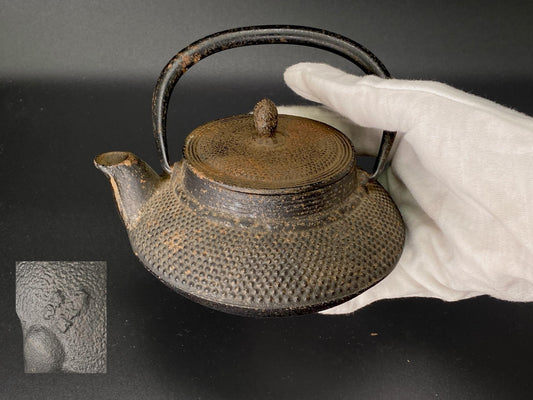 Nanbu Tekki Japanese Cast Iron Tetsubin Tea Kettle, Vintage Stovetop Teapot with Infuser, Traditional Asian Home Decor