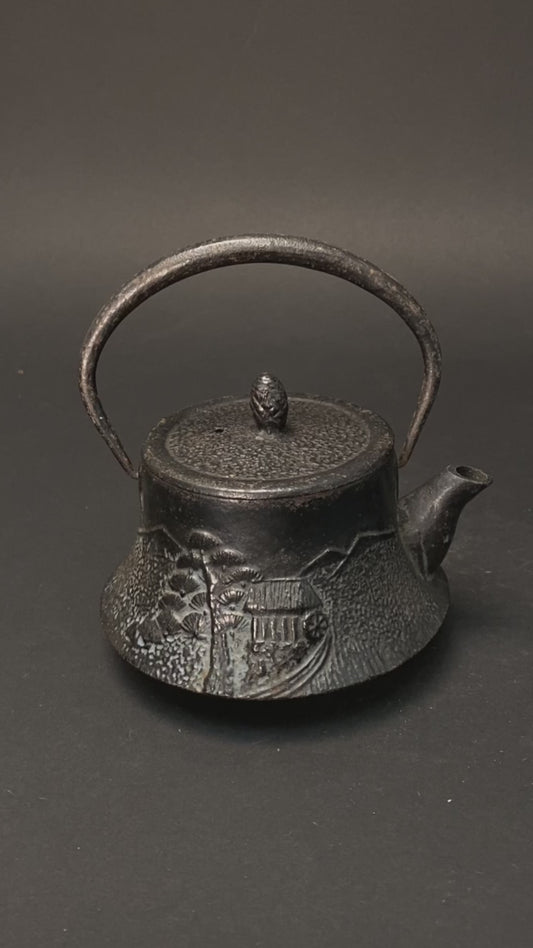 Nanbu Tekki Cast Iron Teapot Pine Tree Pattern